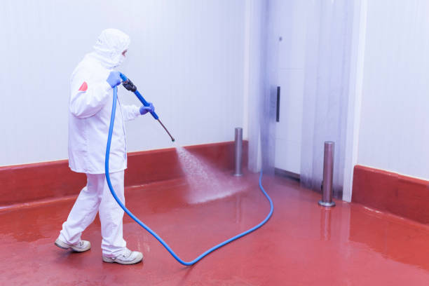 Best Restaurant Pressure Washing  in River Rouge, MI